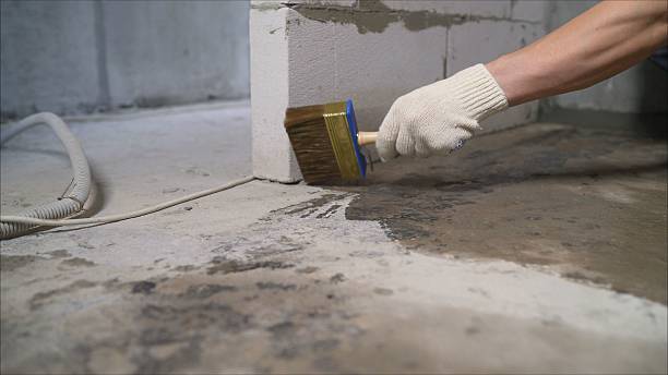 24/7 Emergency Crawl Space Encapsulation experts in Athens, PA